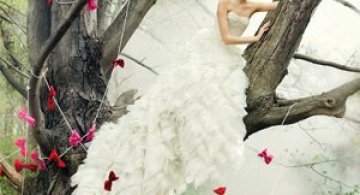 Nunti de basm a la Fratii Grimm de Cade Martin