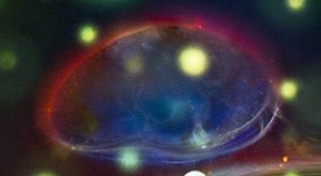 Intre microbiologie si arta – Daniel Stoupin