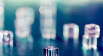 Macro sau Fascinatia detaliului