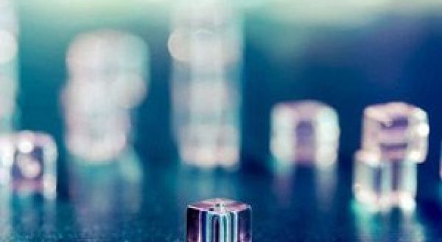 Macro sau Fascinatia detaliului