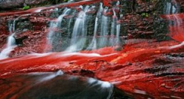 Viata in rosu: National Geographic