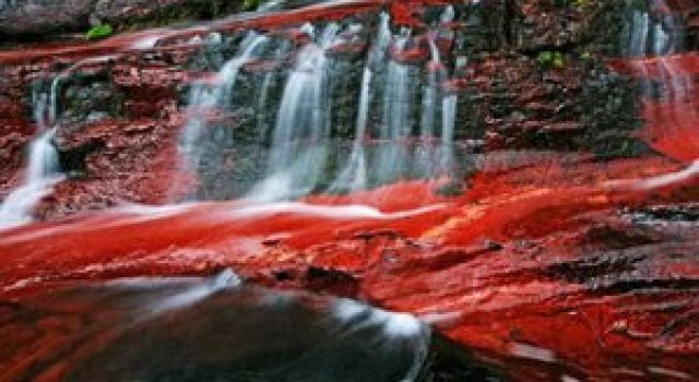 Viata in rosu: National Geographic