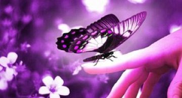 Viata in violet: National Geographic