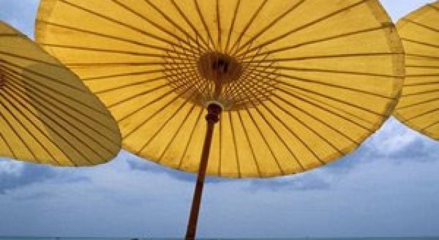 Viata in galben: National Geographic