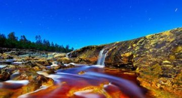 Culorile nebanuite ale naturii de Francisco Mingorance