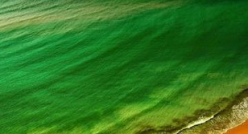 Cum sa deprinzi arta zborului in imagini