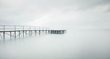 Akos Major, singuratatea si nevoia de culoare