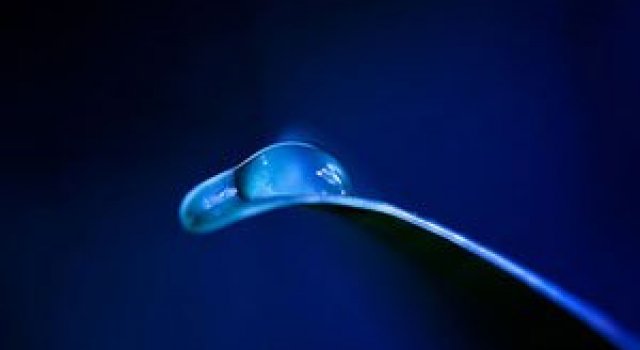 Diferenta dintre talent si geniu: macro de Brandt Campbell