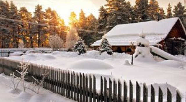 Basme din Rusia de azi, cu Dmitry Savin