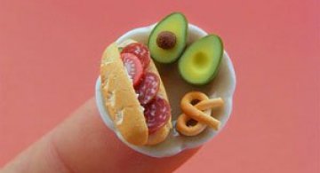 Dieta pascala miniaturala, de Shay Aron