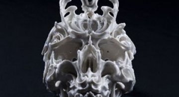 Craniile poetice ale lui Katsuyo Aoki