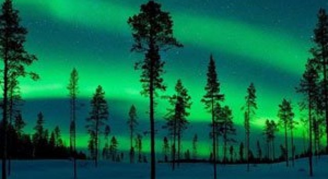 Frumusetea naturii i-a schimbat viata lui Miles Morgan