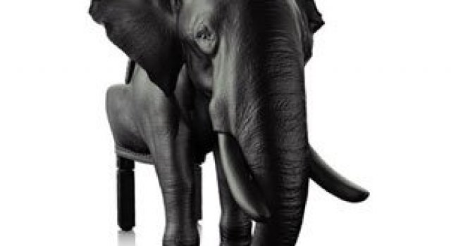 Fotoliul zeului Ganesha de Maximo Riera