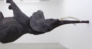 Elefantul plutitor de Daniel Firman