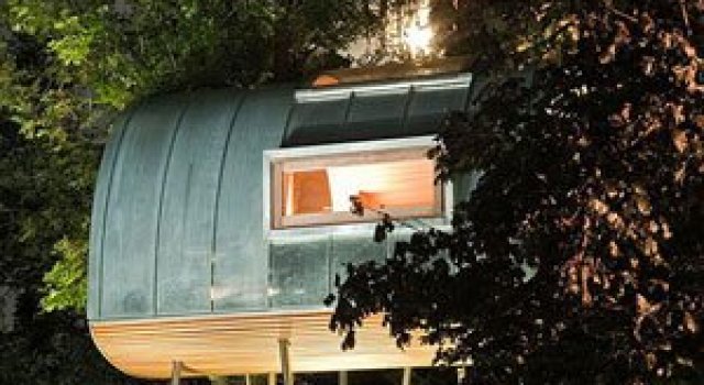 Regele broastelor locuieste intr-un copac din Rinul de Nord, Germania