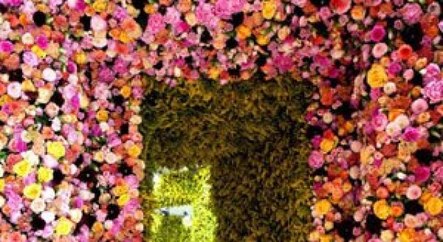 Un milion de flori pentru Dior