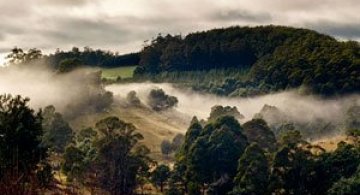 In cautarea frumusetii prin Australia cu Nandakumar Narasimhan