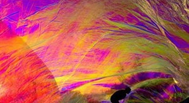 Tomas Saraceno simte respiratia poetica a cosmosului