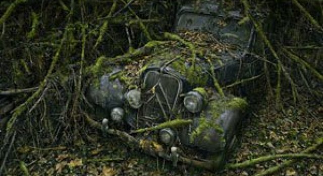 In parcarea-Paradis cu Peter Lippman