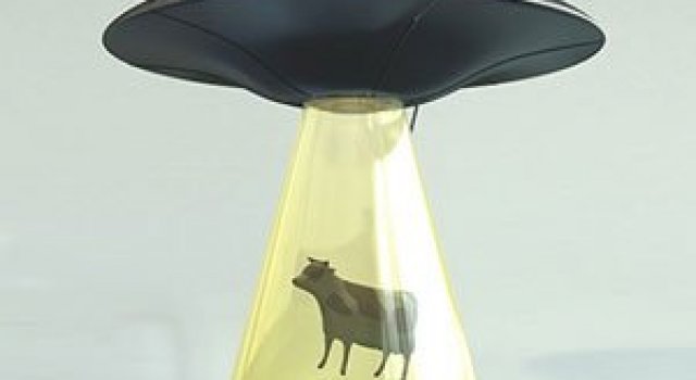 Lampa OZN a lui Lasse Klein rapeste vacute!