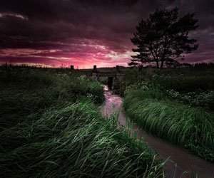 Comete, drumuri si Turnul Eiffel, de Mikko Lagerstedt