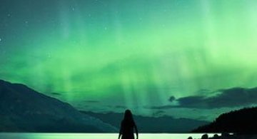Elizabeth Gadd si fotografii despre lucruri simple