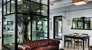 Restaurantul din Roma in care a crescut un copac