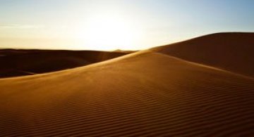 Frumusete in desert, cu Shawn van Eeden