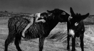 Spania miraculoasa din ochii copiilor