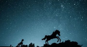 Peisaje din Seattle, de Colin Brooks