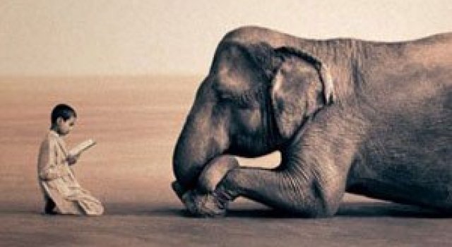 Copii, animale si iubire, de Gregory Snow