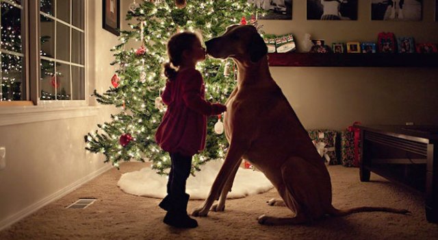 Craciun fericit in 10 imagini creative