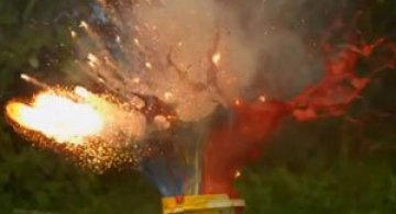 Video: Explozii de culoare in gradina