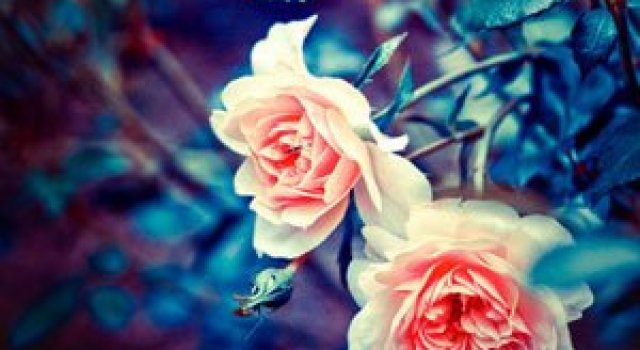 Florile Barbarei in 12 imagini superbe