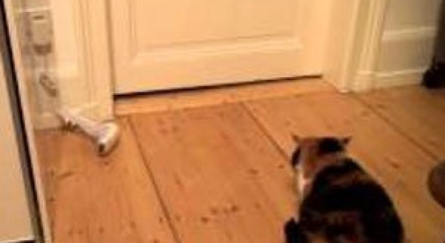 Video: Cel mai scurt thriller din istorie