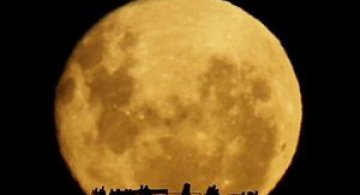 Video: Rasarit de luna plina, de Mark Gee
