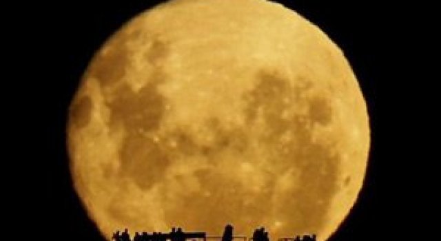 Video: Rasarit de luna plina, de Mark Gee