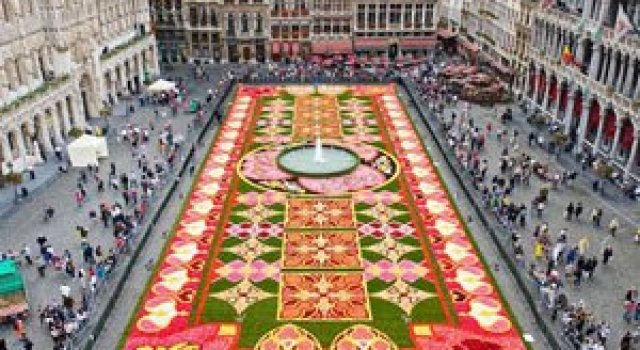 Covorul de flori de la Bruxelles