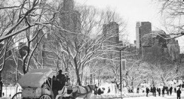 Central Park, New York, dupa viscol