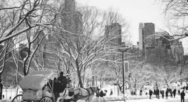 Central Park, New York, dupa viscol