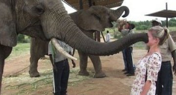 10 animale prea prietenoase