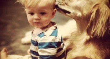 Iubirea dintre caini si copii, in 13 fotografii