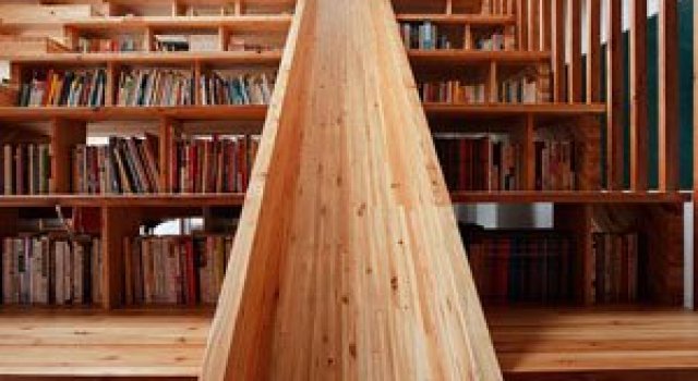 Toboganul din biblioteca, de Moon Hoon