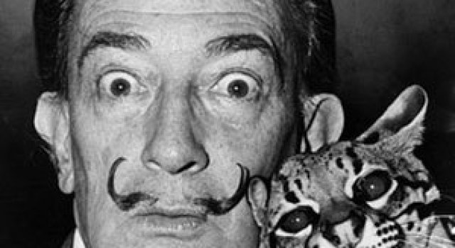 10 artisti celebri cu pisicile lor