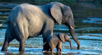 National Geographic Traveler Photo Contest 2013: Cele mai bune inscrieri