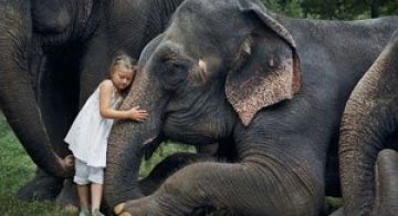 28 de super poze cu fetita care iubeste toate animalele