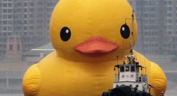 Ratusca gigantica navigheaza la Hong Kong!