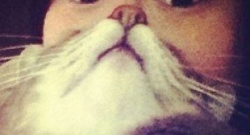 Pe jumatate om, pe jumatate pisica