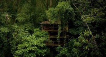 Finca Bellavista, satul din copaci