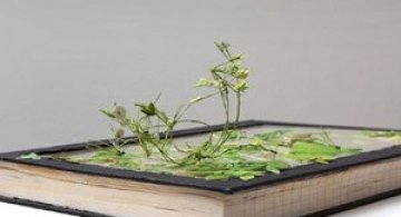 Arta cu natura si carti, de Johannes Helden